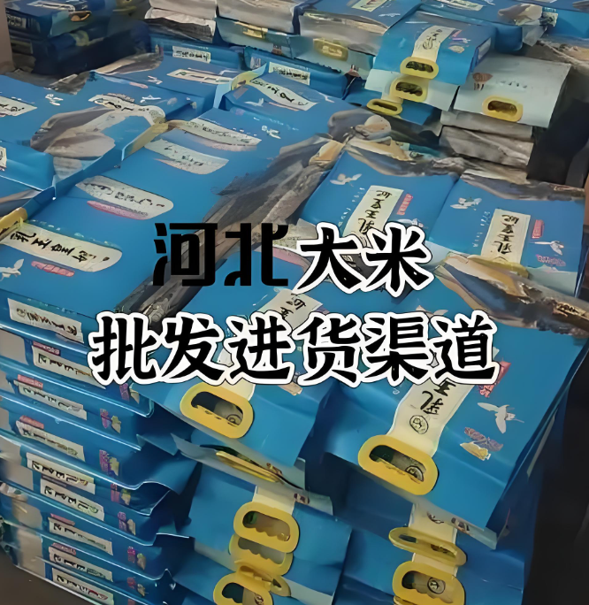 大米一手货源怎么找？走进河北商超及社区团购拿货的大米批发仓